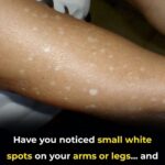 Soft and Tasty 2-Ingredient Protein Bread (No Flour Needed!)