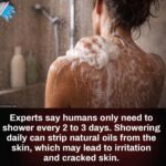 Smart broccoli tree painting