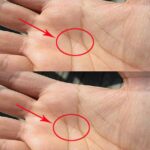 Homemade Ketchup in 20 Minutes