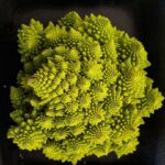 The Viral “Hospital-Emptying” Drink: What Science Really Says About This Healthy Blend