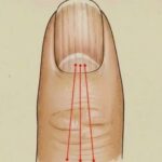 My Elderly Neighbor D.ied — After His Funeral, I Received a Letter From Him Revealing He’d Buried a Secret in His Backyard 40 Years Ago