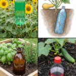 What to Eat to Reduce Nail Ridges: A Nutrition Guide for Healthier Nails