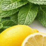 The Seed Almost No One Values