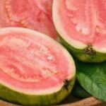 Garlic Kills 14 Types of Bacteria: The Natural Antibiotic You Need to Know