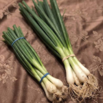 DON’T THROW AWAY TUNA CANS AT HOME, THEY’RE WORTH GOLD: HOW TO REUSE THEM