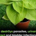 I Almost Ate This Until I Looked Closer — A Reminder to Always Check Your Food