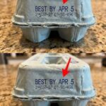 6. Contains Compounds Studied for Cancer Prevention