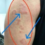 Newspaper Seed-Layer Flower Bed Method