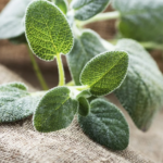 Mix garlic and cloves: a secret no one will ever tell you. Thank me later