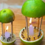 FROZEN CORN TREATS…for chickens!!!