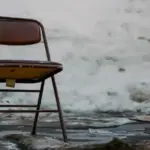 Don’t Toss Tangerine Peels! Put Them on Your Windowsills Instead