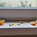 What do you see in the image? The answer reveals your psychological nature