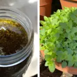 You’re Done Shopping. The Sun Is Setting. Then You See It…