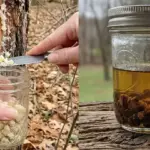 Why do many elderly people wake up at 3 a.m. and what might it mean for their rest?