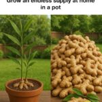 This Clever License Plate Has Everyone Talking — Can You Spot Why?