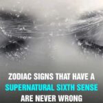 The Number Of Animals You See Determines If You’re A Narcissist.