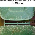  This Is the Mistake We ALL Make with Lemons: They Spoil Immediately!