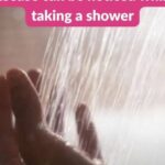  Ant Trap: How to Get Rid of Ants for Good Without Using Pesticides