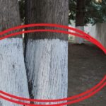 Should You Clean Up After Yourself at Fast Food Restaurants?