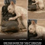 You’re Doing It All Wrong: Here’s How to Plant a Lemon in a Cup & Get Your Home Smelling Fresh