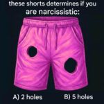 I discovered this in our new kitchen: what is it?