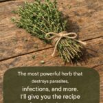 Turn One Wooden Pallet Into a Strawberry Garden That Produces for Years