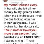 How to grow an avocado tree indoors – Best method that bear fruit