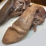 What Is the White Strand in Eggs? A Simple Explanation