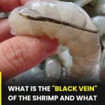 You Must Pick One Household Chore To Avoid: Your Answer Reveals What Kind Of Person You Are