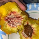 Collard Greens and Ham Hocks