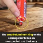 What I Found on My Pant Leg After Walking Outside