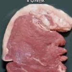 Cloves: The Powerful Spice with Hidden Benefits and Everyday Uses