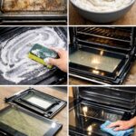 Why Chicory Roots are the Most Important Part of the Plant