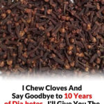 What does it mean when a white butterfly visits you? The symbolism and beliefs behind this curious encounter