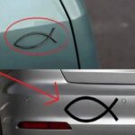 Ginger Onion Garlic Lemon Honey Blend: Your Simple Daily Ritual for Everyday Comfort and Balance