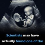 You won’t be fooled again after seeing this more details in comment