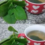 Don’t Toss That Tea Bag! Here’s Why It’s a Hidden Treasure