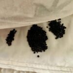 Riddle: Can you guess who is still alive?