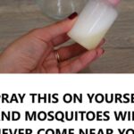 Oregano Leaves and Natural Health Remedies: What Science Really Says