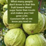 I just bought this ground beef and the inside is completely grey — did the store scam me?