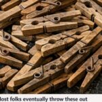 The Most Serious Illness from Sleeping with Cats: Prevention and Tips