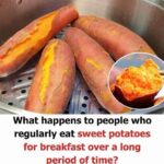 Endive fondue with bacon: a melting, simple and tasty dish