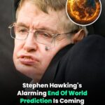 I opened a can of Spam and found it sitting in a clear jelly. Is that normal or did it go bad