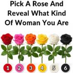 Only a few people manage to spot all the faces hidden in this tree — are you one of them?