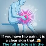 Why Bees Land on Your Fresh Laundry… and How to Keep Them Away