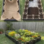 A Scientific Look at Oregano’s Role in Supporting Wellness