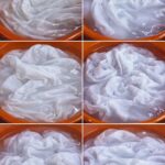  This Is the Mistake We ALL Make with Lemons: They Spoil Immediately!