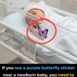 Pick a Rose and Reveal What Kind of Woman You Are