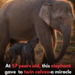 Don’t Ch:eat. Pick The Odd One Out To See How ‘Lucky’ You Really Are