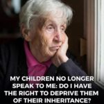 Easy No-Bake Biscoff Cheesecake Recipe